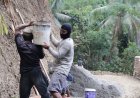 Langsir Pasir Tanpa Lelah Sanudin Ikut Wujudkan Jalan Impian Desa