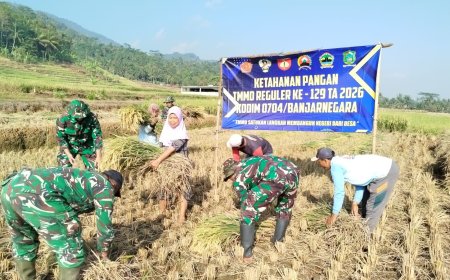 Di Tengah TMMD Serka Suwondo Turun ke Sawah Bantu Warga Panen Padi