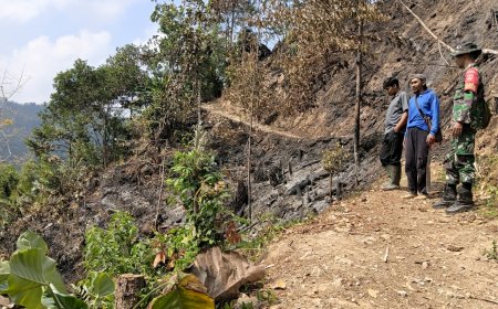 Babinsa dan Warga Pastikan Api Karhutla di Kalilunjar Benar-Benar Padam