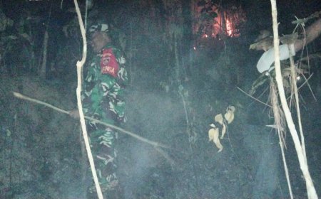 Kebakaran Lahan Pinus Perhutani di Desa Panerusan Wetan Luas Sekitar 1 Hektare