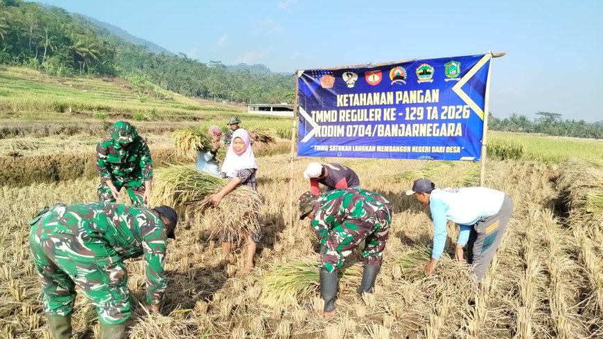 Di Tengah TMMD Serka Suwondo Turun ke Sawah Bantu Warga Panen Padi